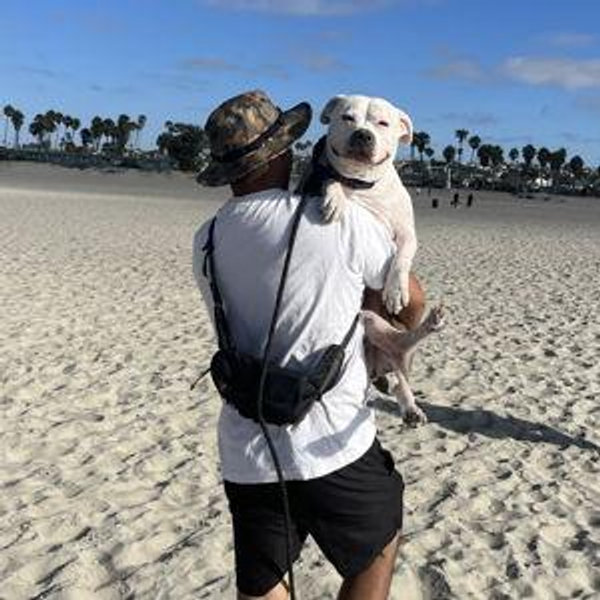 Pet Fund