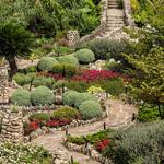 Japanese Tea Gardens