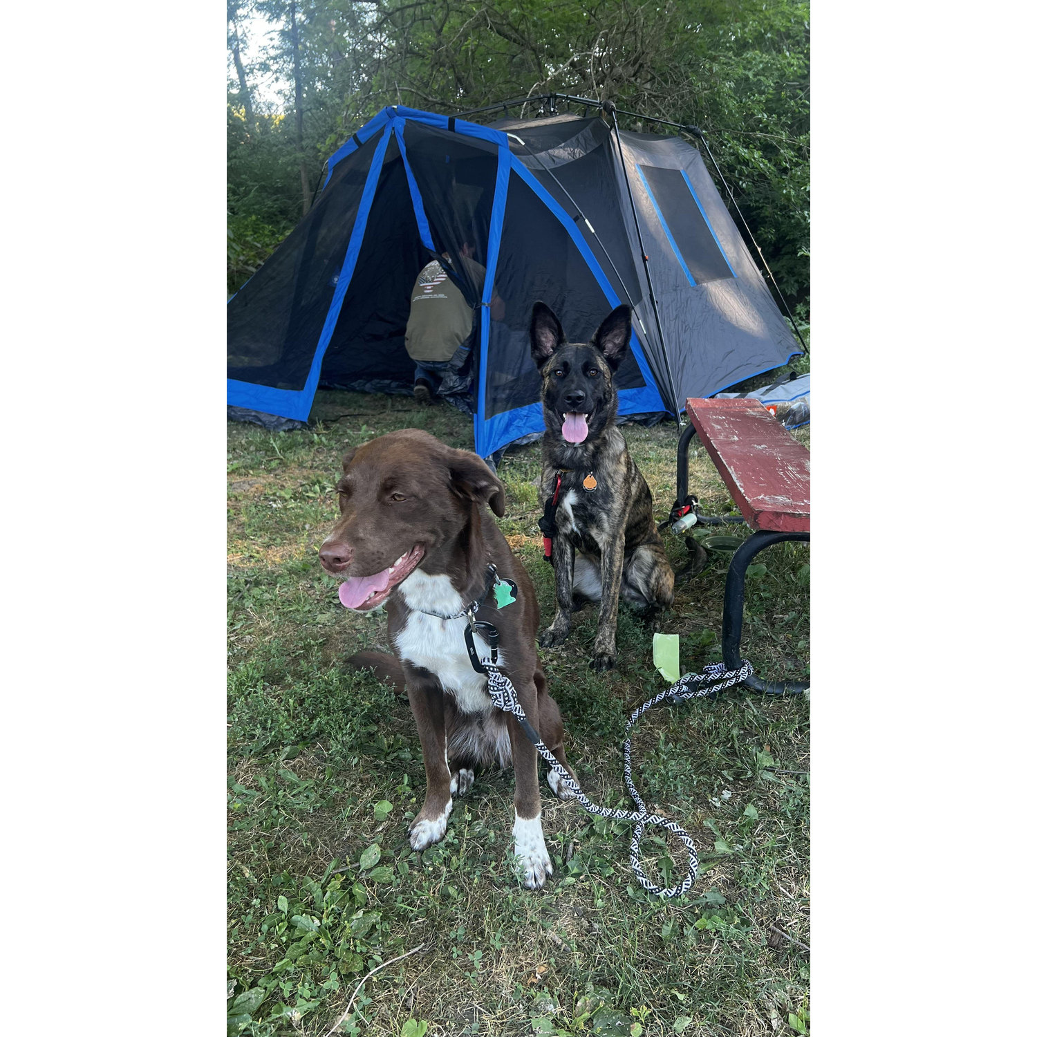 Camping in Iowa 2022