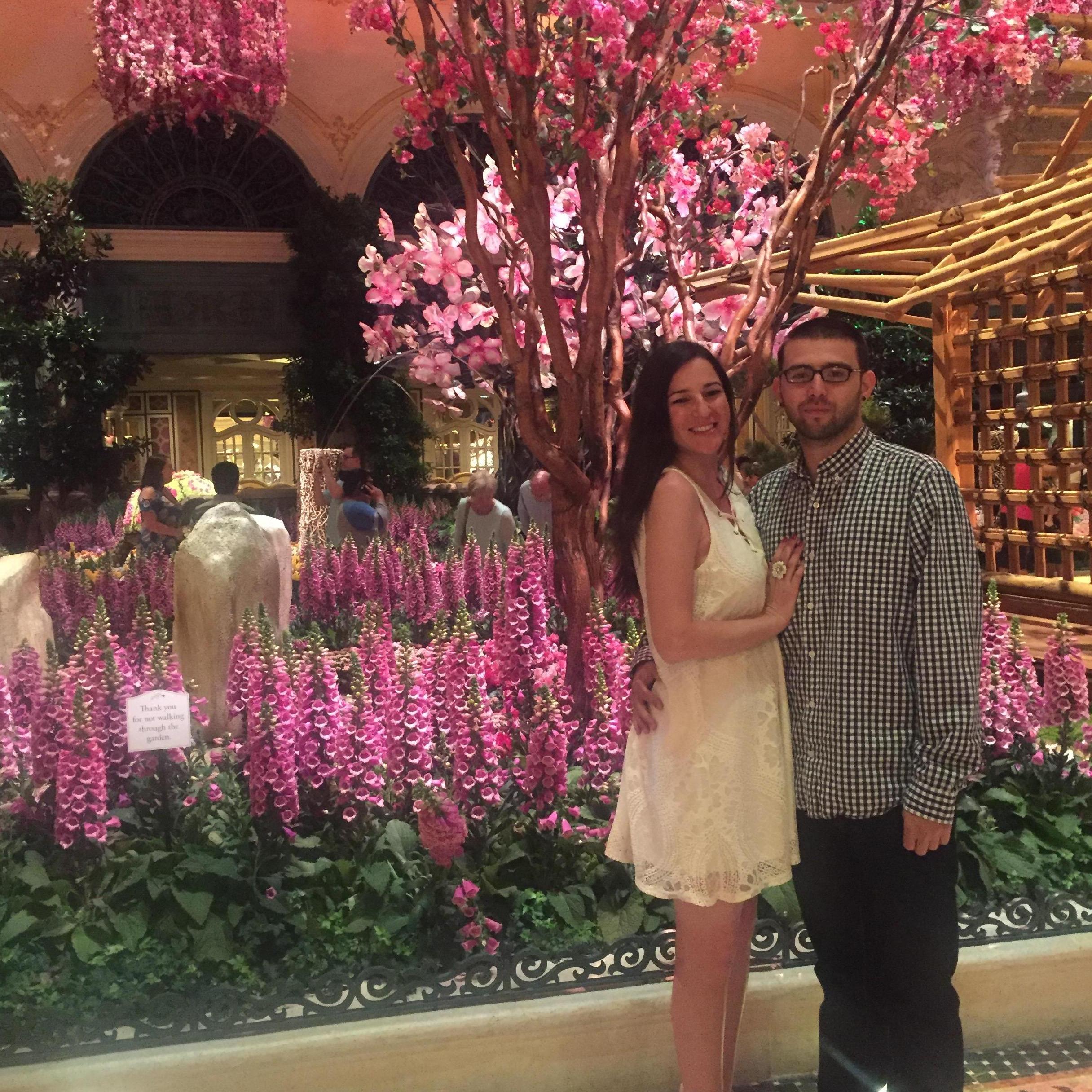 Las Vegas 2015