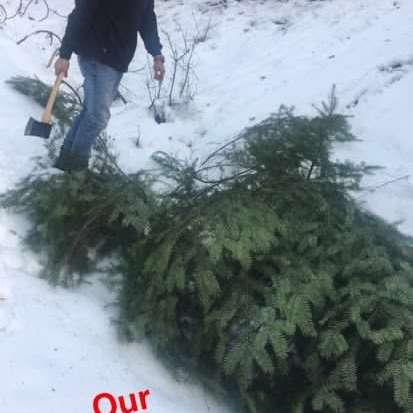 In the Woods getting our Christmas tree!