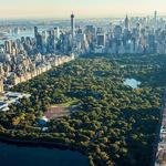 Explore Central Park