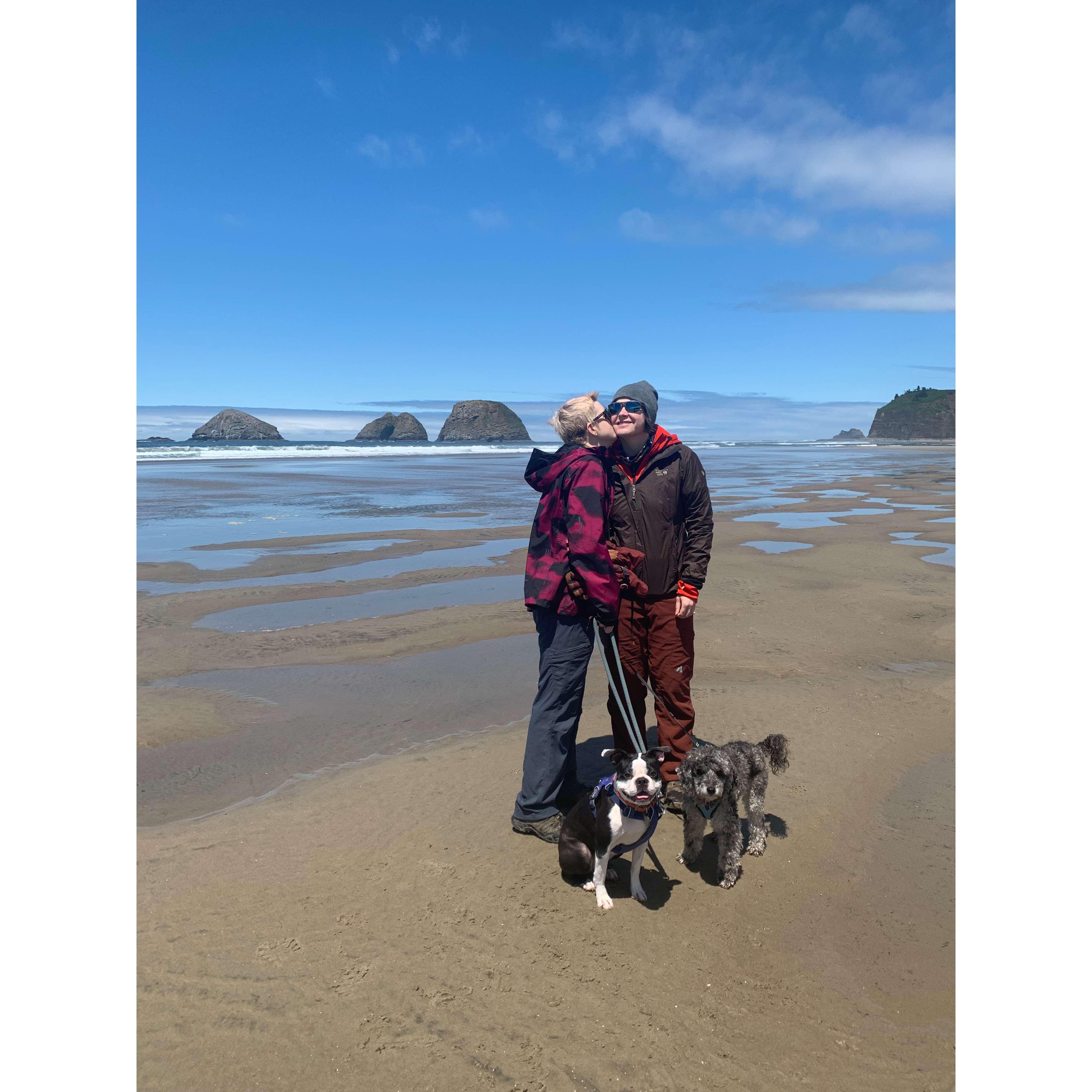 The one and only time we got both dogs (but not us) to look at the camera.