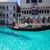 Gondola Rides