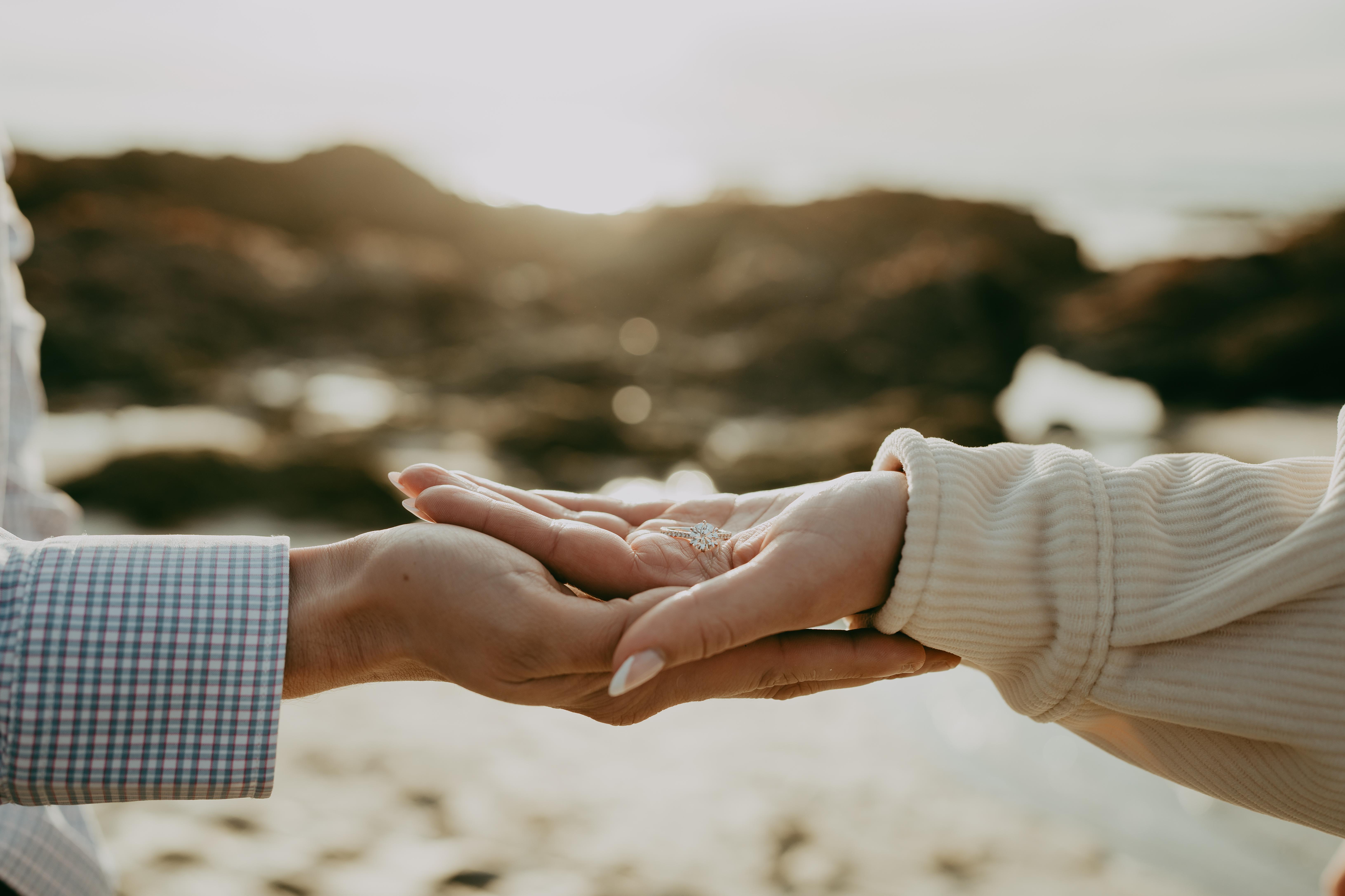 The Wedding Website of Lacey Smith and Nicolas Peterson