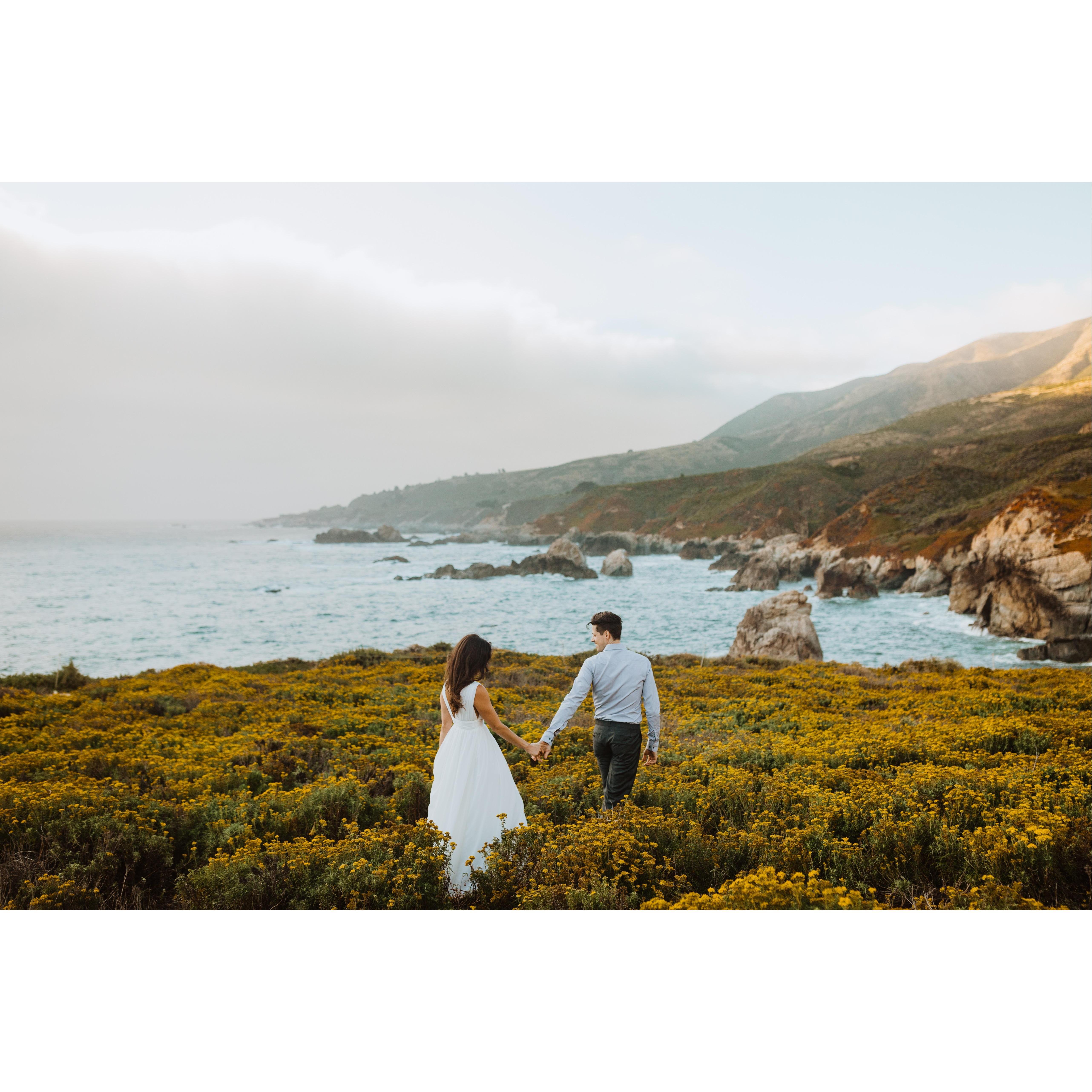 Garrapata Bluff Trail