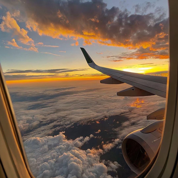 Round Trip Plane Tickets