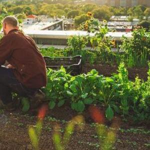 Capitol Riverfront ​Farm Membership