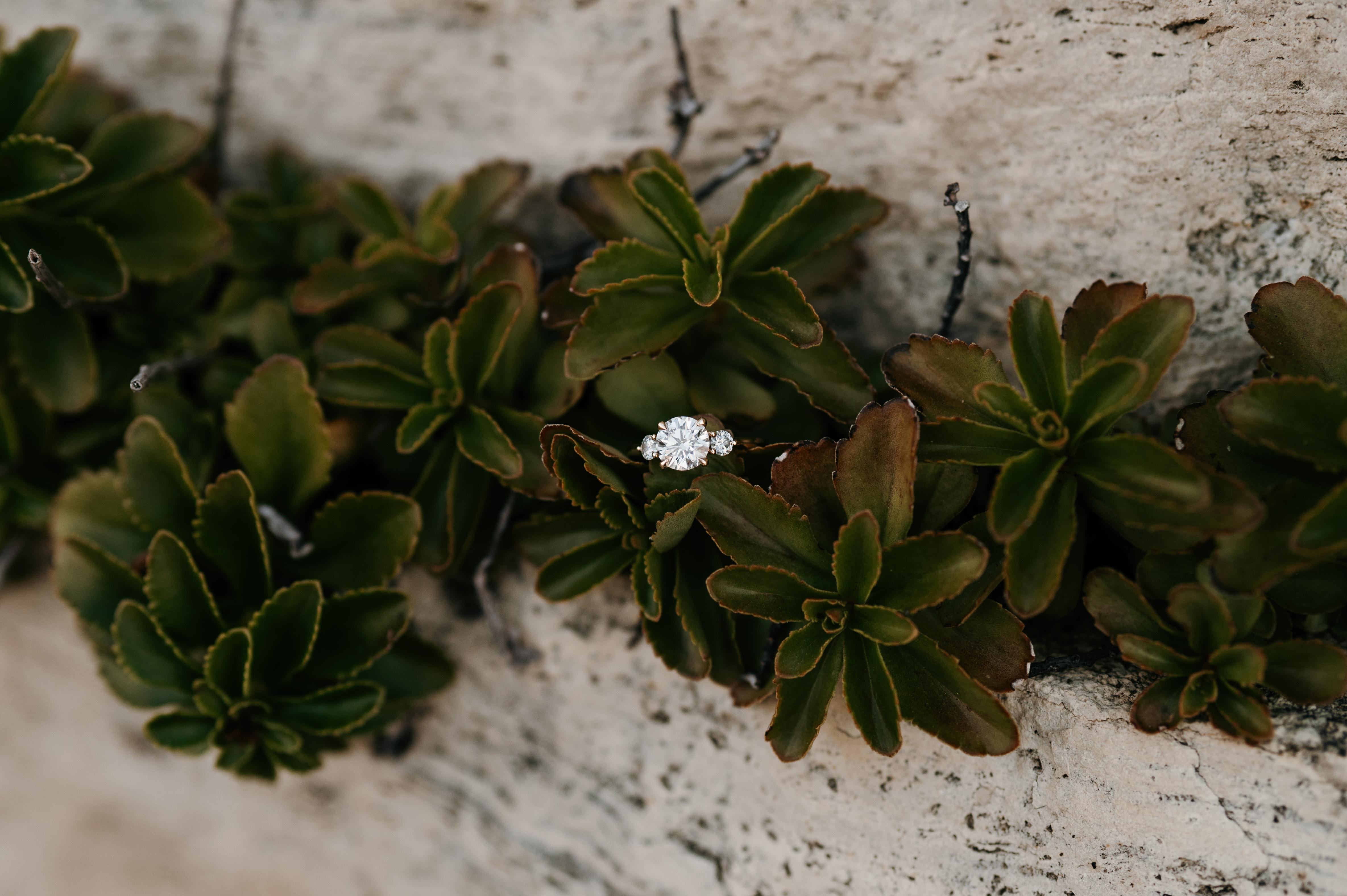 The Wedding Website of Madison Stahl and Nick Brown