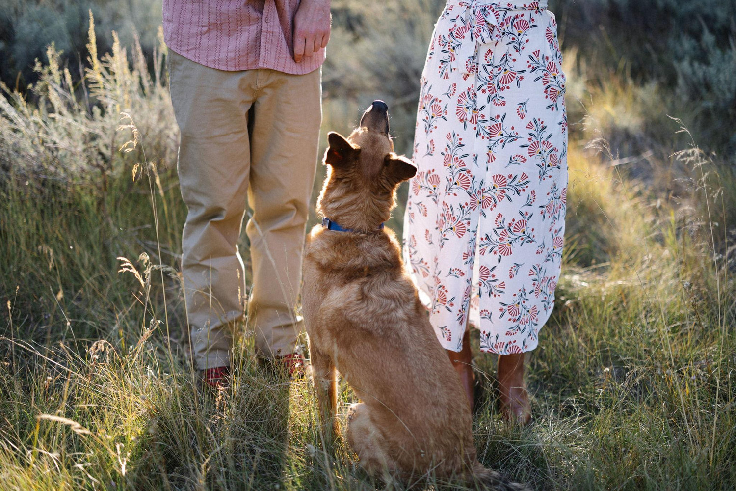 The Wedding Website of Emma Bockius and Bryan Unger