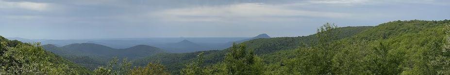 The Wedding Website of Julia Brace and Brendan Carroll