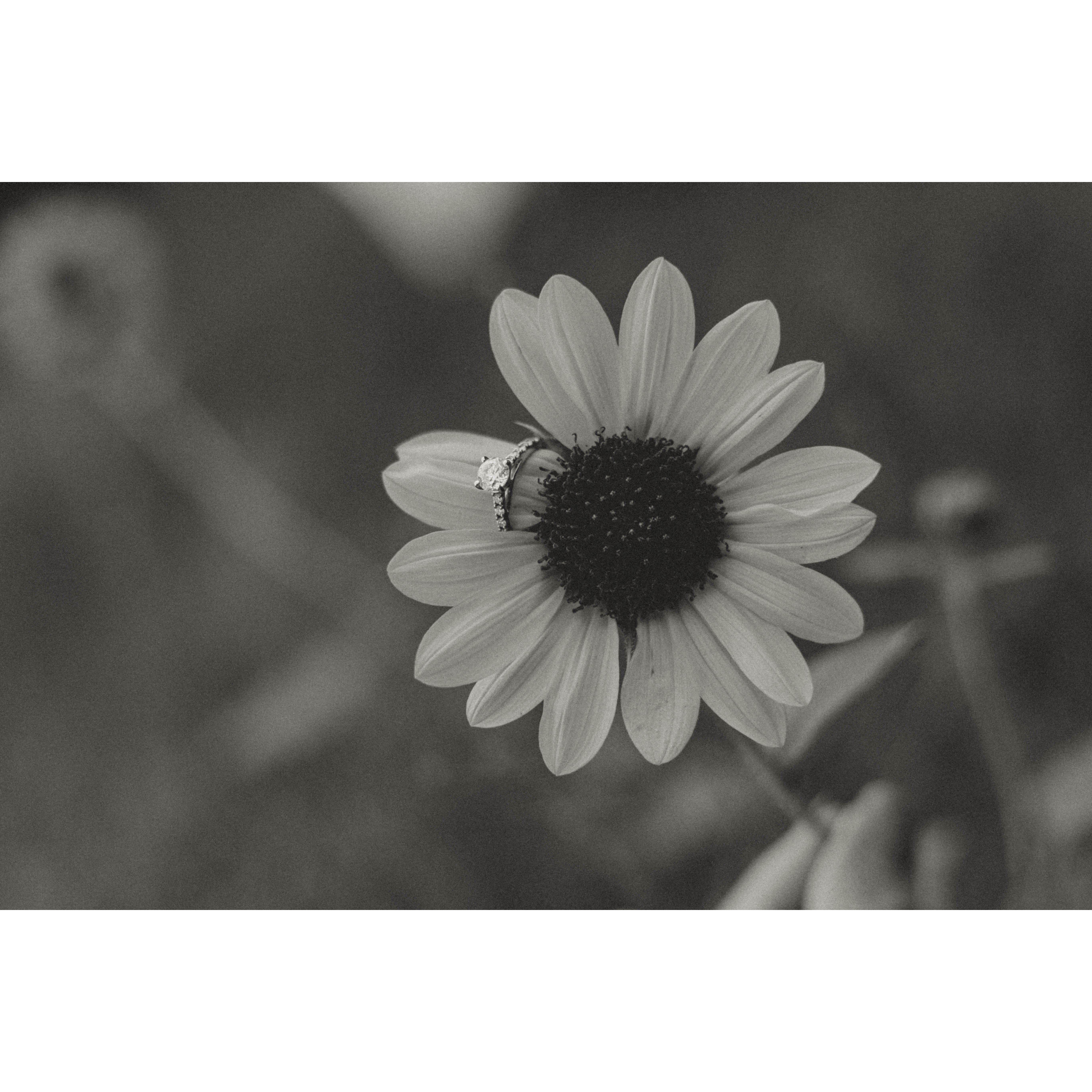 A forever kind of love.