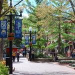 Pearl Street Mall
