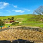 Shadowbrook Winery