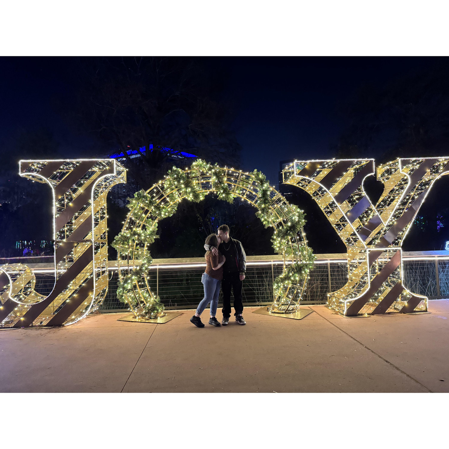 We go to Zoo Lights every year