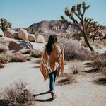 Insta-Worthy Joshua Tree