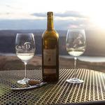 Wine Tasting!