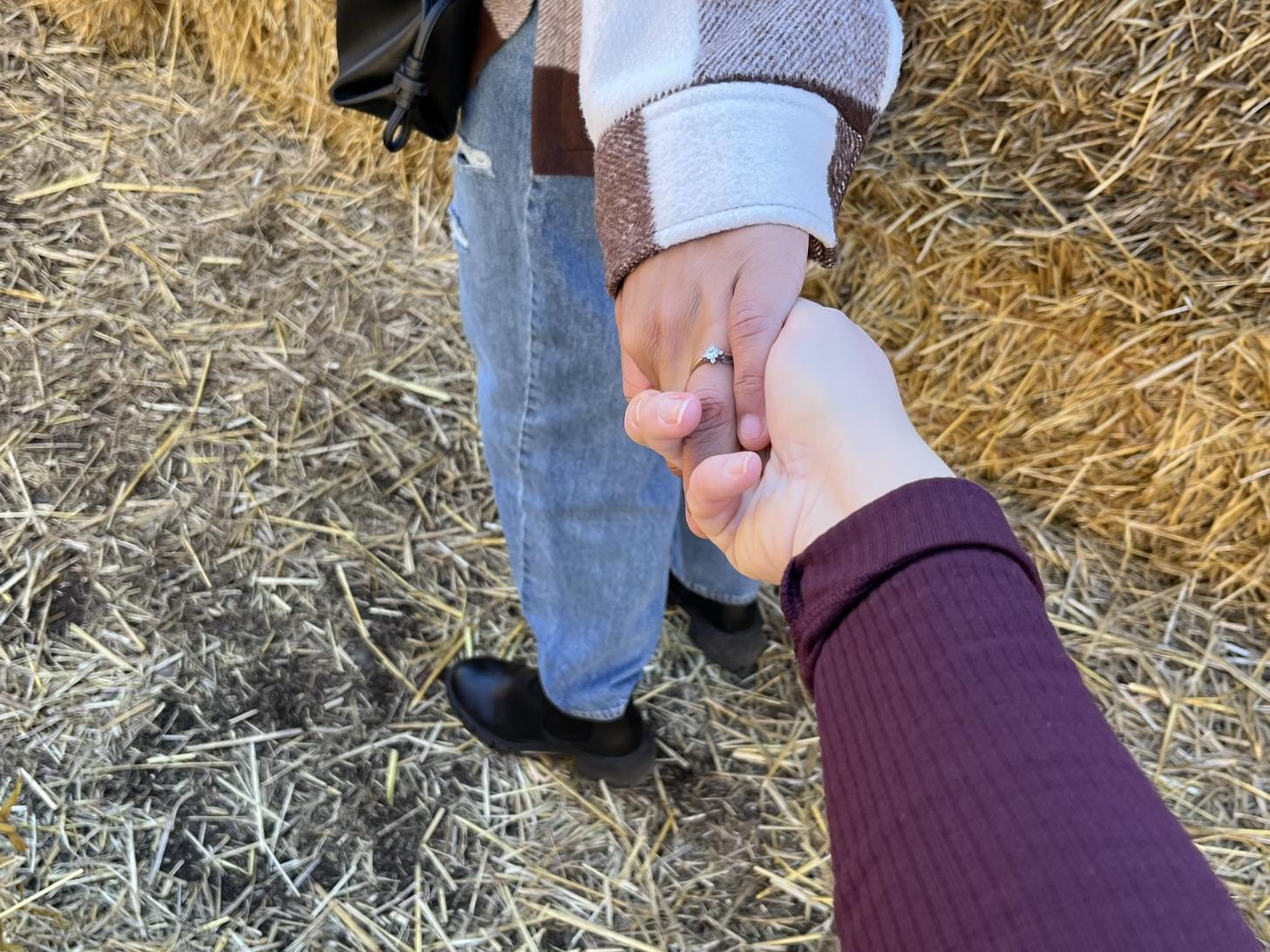 The Wedding Website of Catarina Negrini and Mykaelly Feliciano