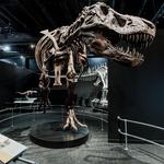 Center of Science and Industry (COSI)