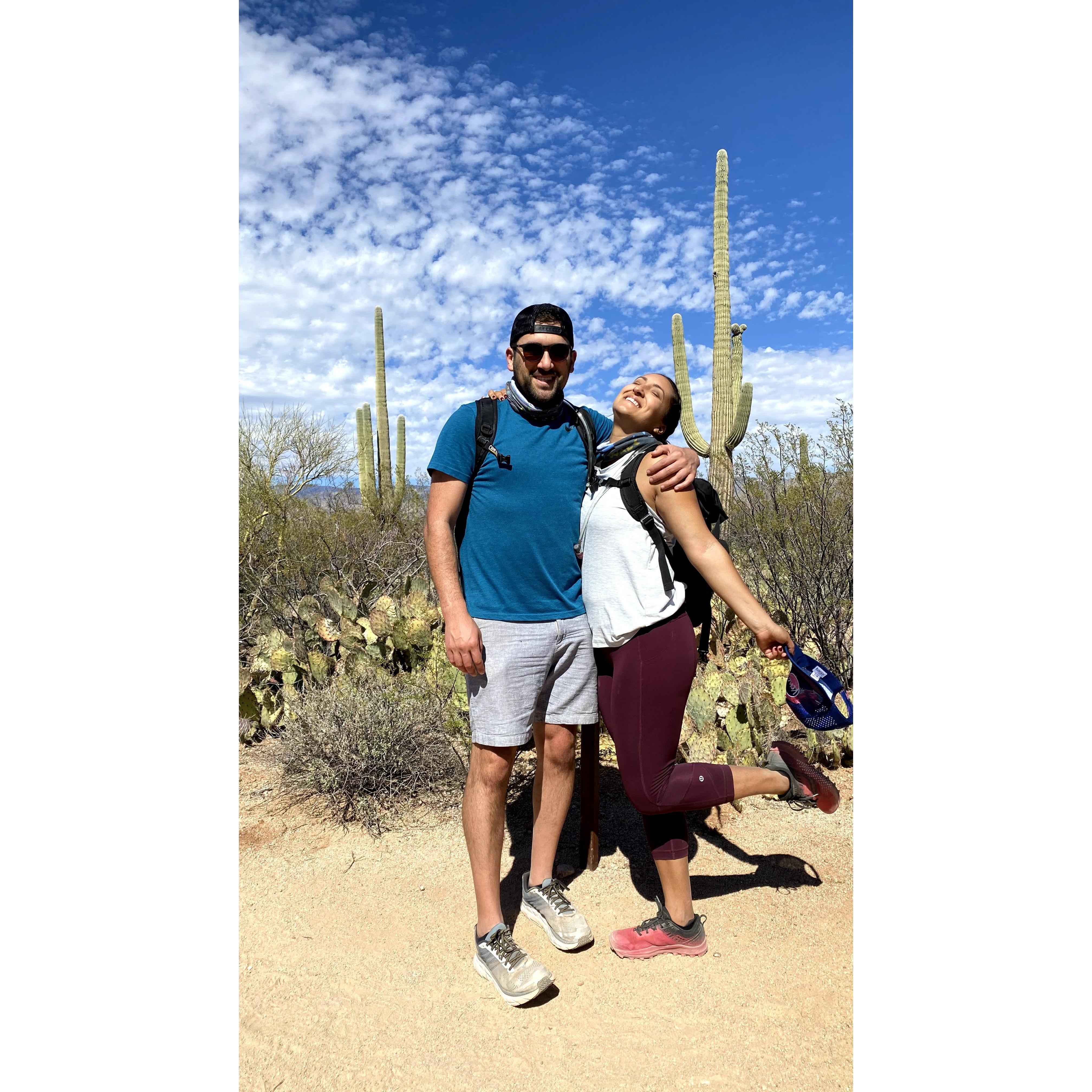 Saguaro National Park in Arizona