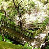 Devil's Millhopper Geological State Park