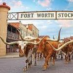 Tourist Attraction: Fort Worth Stockyards