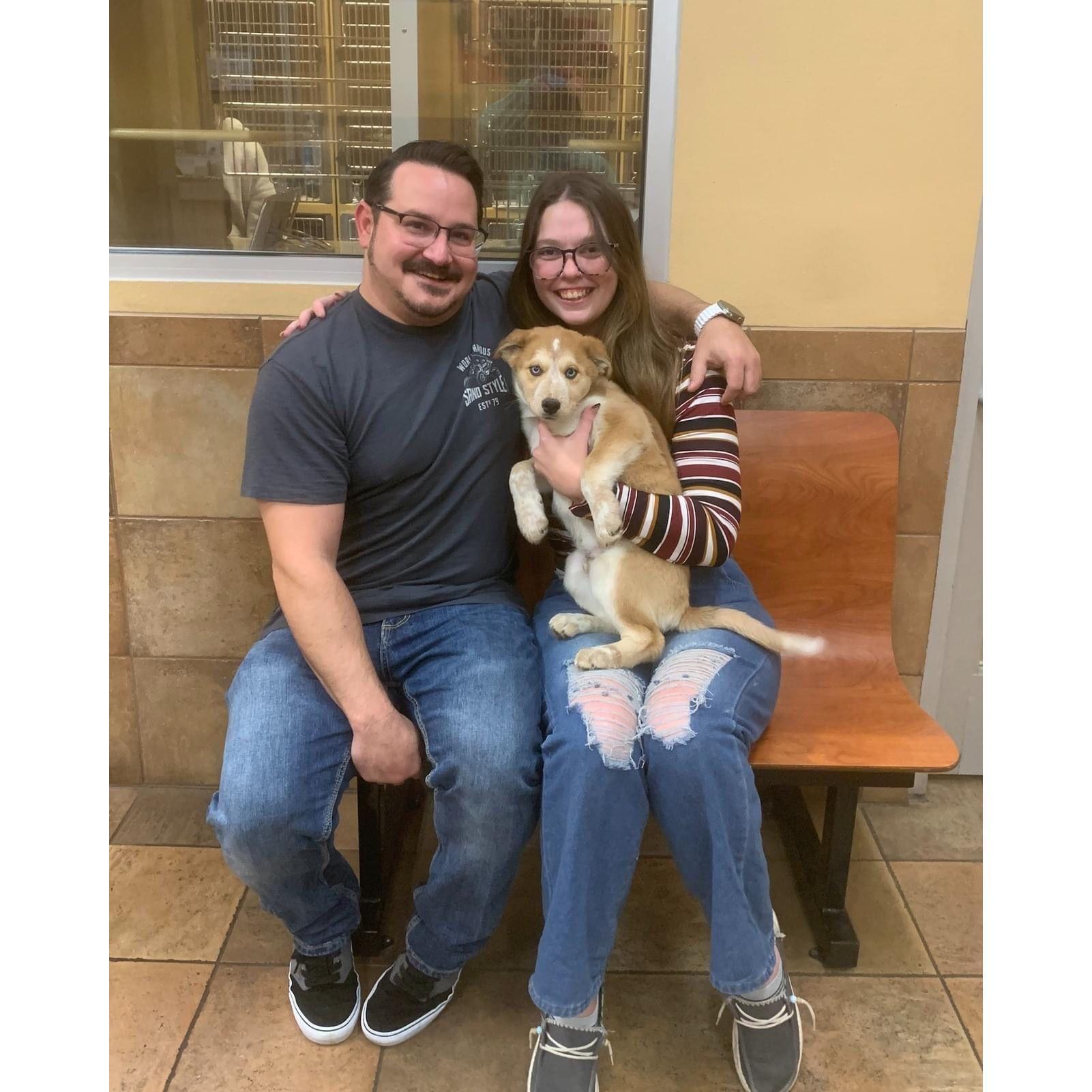 Bobby was so very against a 3rd dog. That was until this Husky/Aussie rolled onto his back and opened his piercing blue eyes. Meet our newest addition, Gunner! Gotcha day - 1/27/24