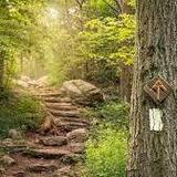Appalachian Trail