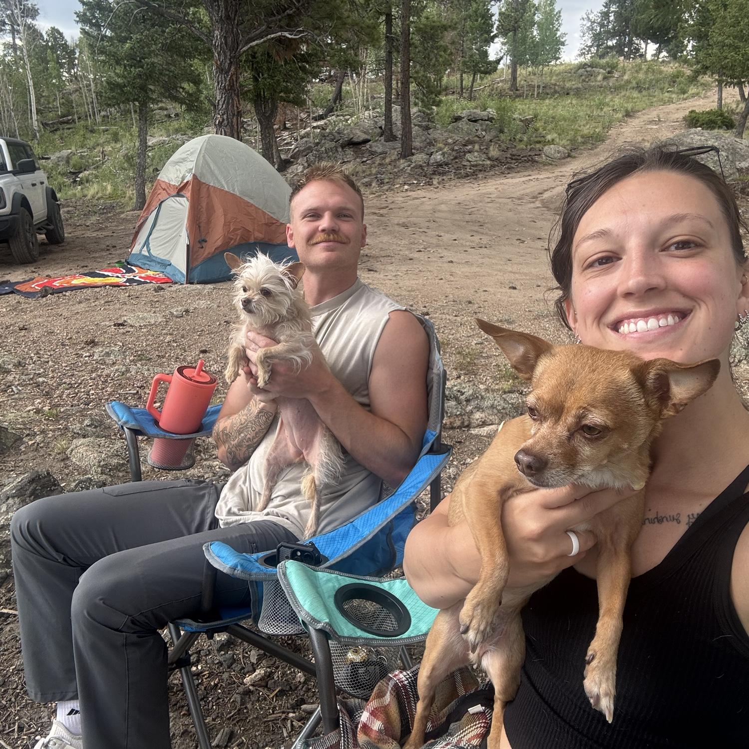 Can you tell the dogs aren't huge fans of camping??