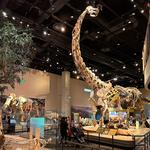 Perot Museum of Nature and Science