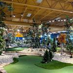 The Burrow - Victoria