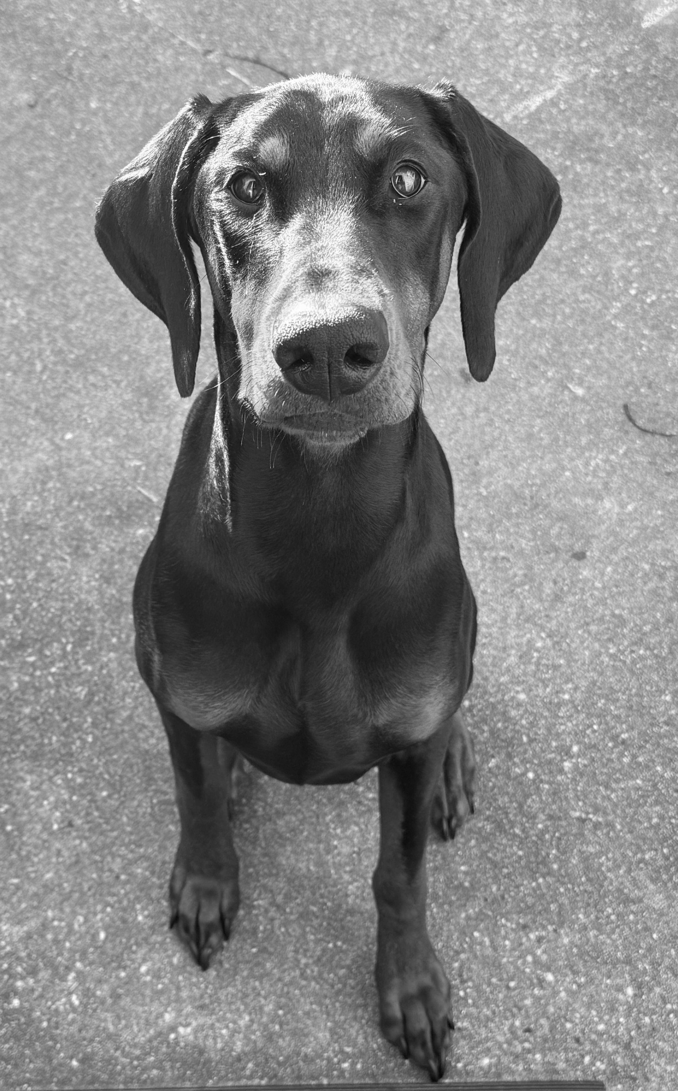 The Wedding Website of Rebeckha Y. Sanchez and Devon D. Still