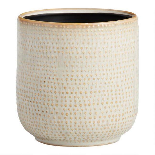 Ivory Striped Dot Ceramic Planter