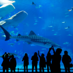 South Carolina Aquarium