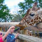 Cheyenne Mountain Zoo