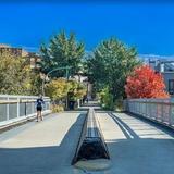 The 606 Trail & Lincoln Park