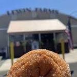 Lewin Farms