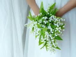 The Wedding Website of Mallory Rose López Haak and Esteban De Jesús López Belmontes