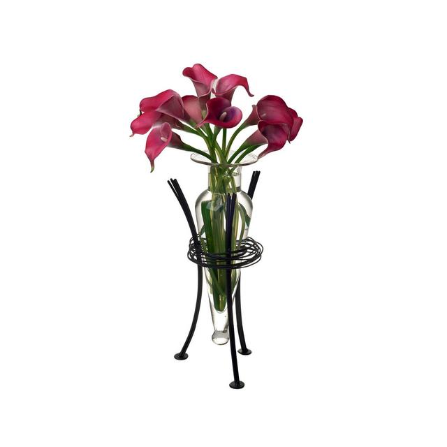 Danya B. Clear Amphora Vase with Wire Stand