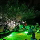 Sharkey's LED Illuminated Night & Sunset Tour on Glass Bottom Kayaks in Sarasota