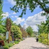 Idaho Botanical Garden