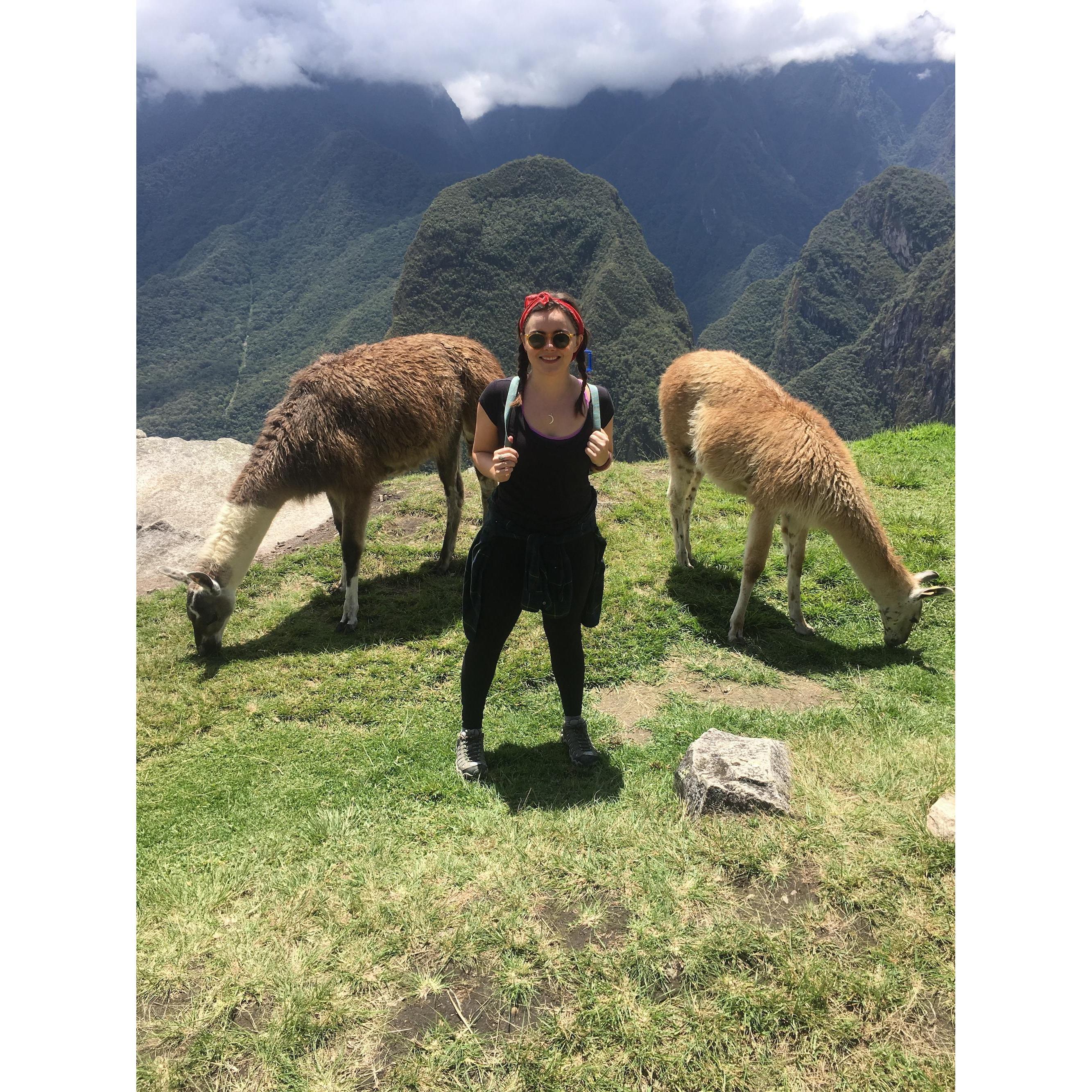 Machu Picchu, Peru. 2017.