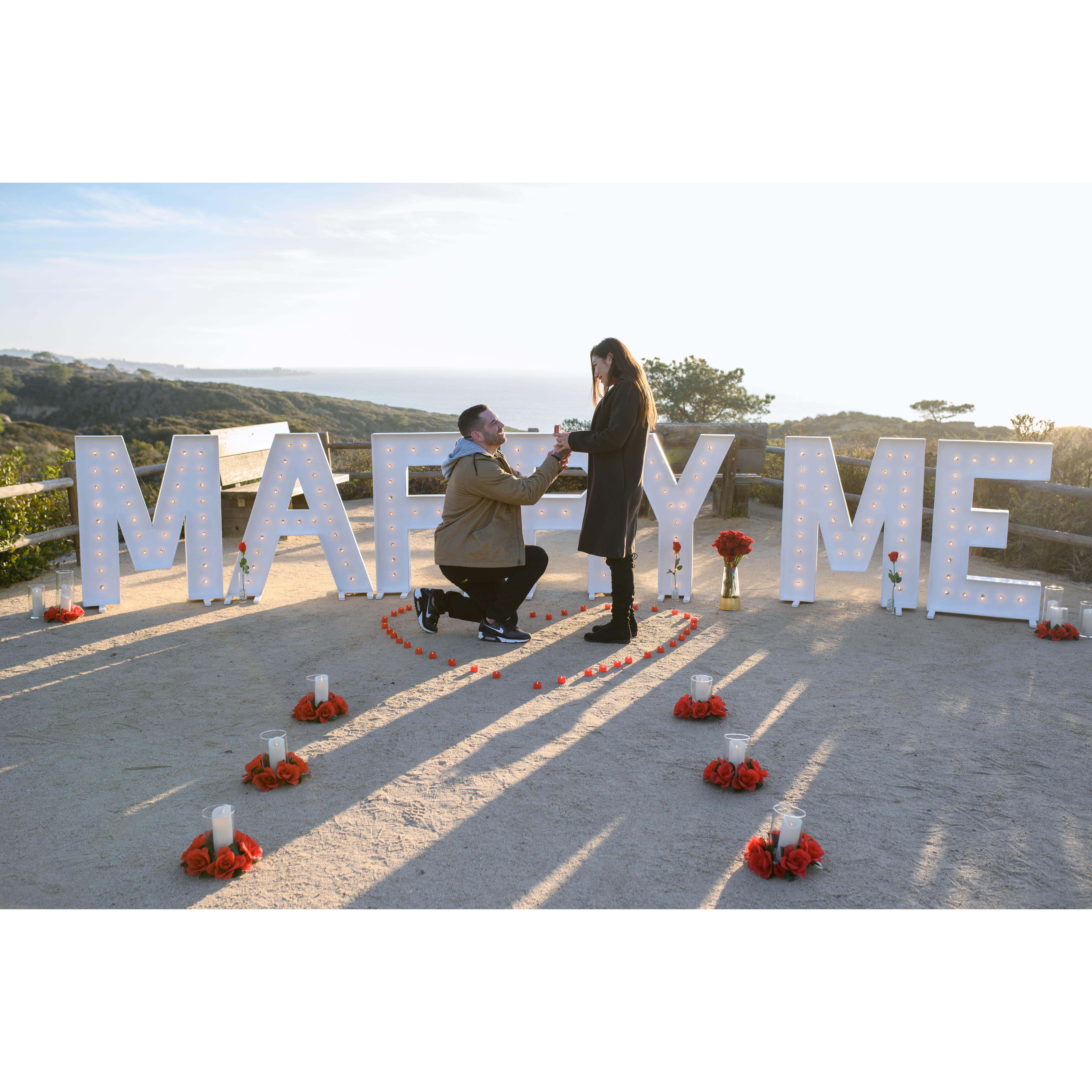 The Proposal 12/19/2022