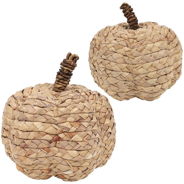 winemana 2 Pack Pumpkin Fall Decor Thanksgiving Decorative Pumpkins for Home Woven Cattail Figurines Farmhouse Autumn Decorations Fall Centerpieces for Table Porch Mantel Indoor (Beige)