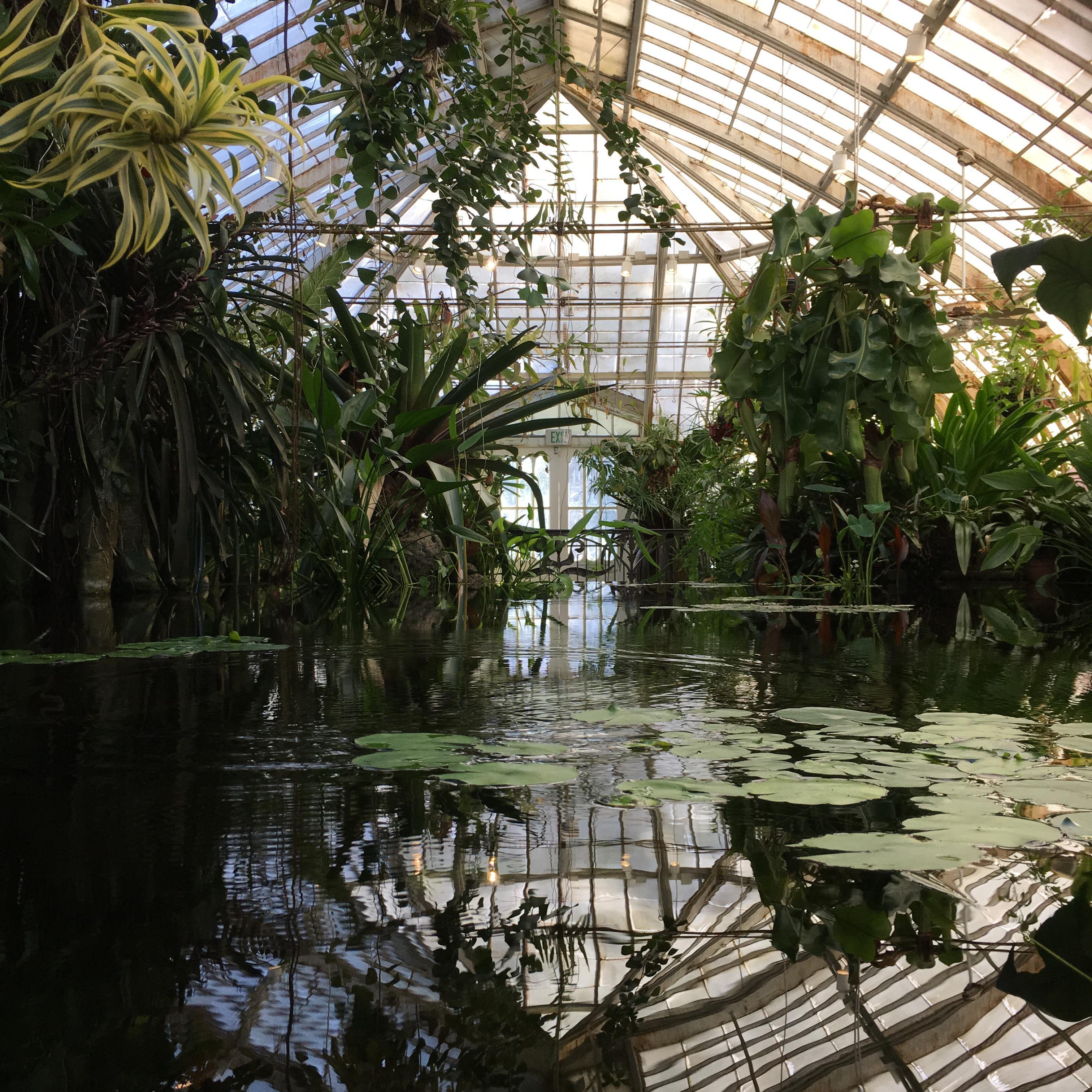 Another of our favorite haunts--the Conservatory of Flowers
