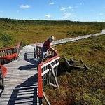 Bog Walk