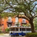 Gray Line Trolley Tour