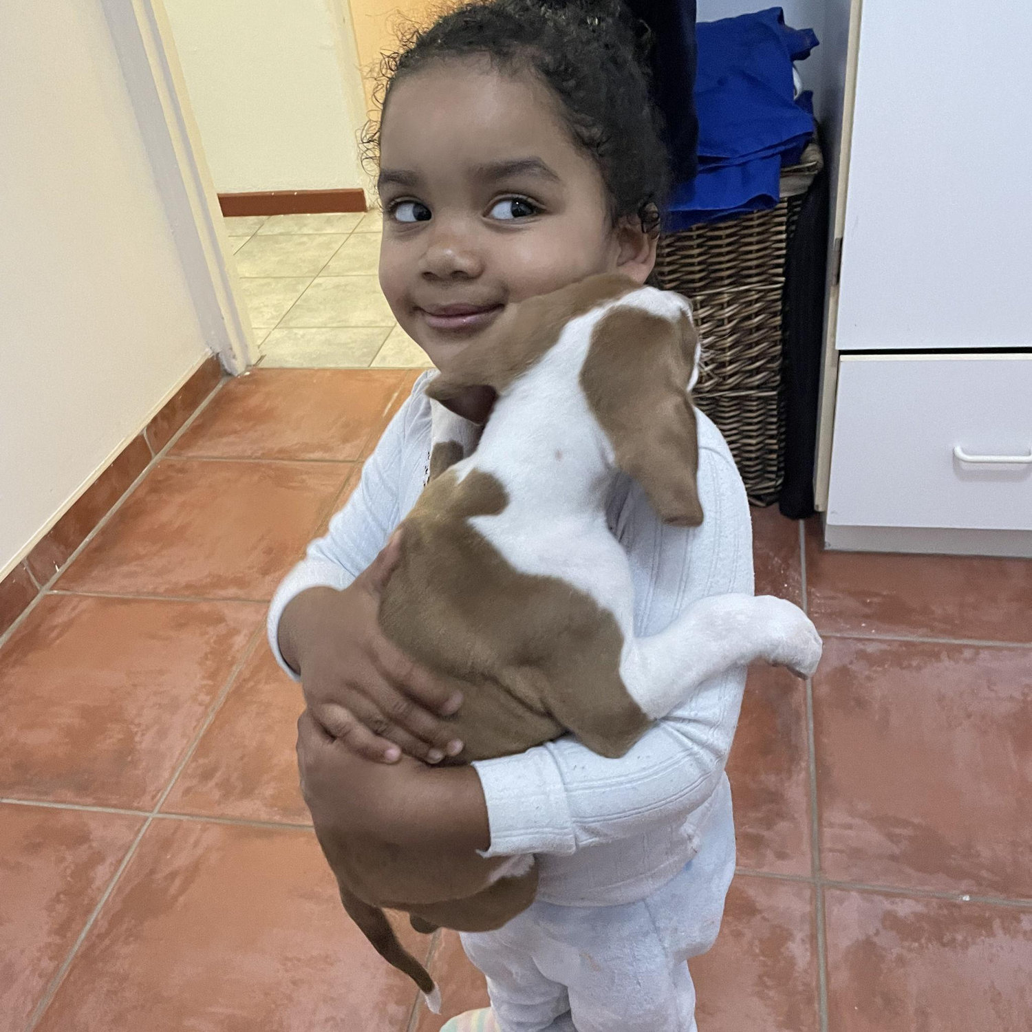 Our latest addition to the Family.. King🐶