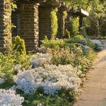 Stoneleigh Natural Gardens