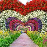 Dubai Miracle Garden